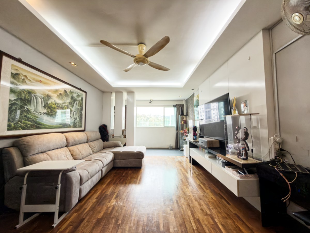 250 Bukit Batok East Ave 5 living room
